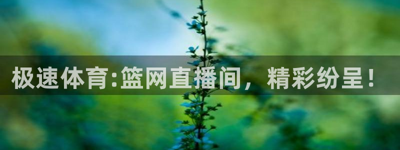 极速体育:篮网直播间，精彩纷呈！