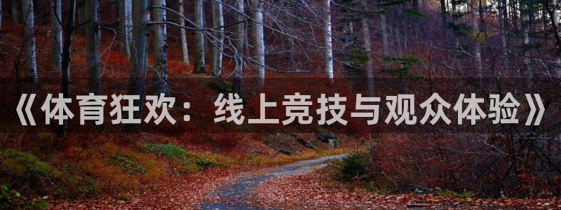 《体育狂欢：线上竞技与观众体验》