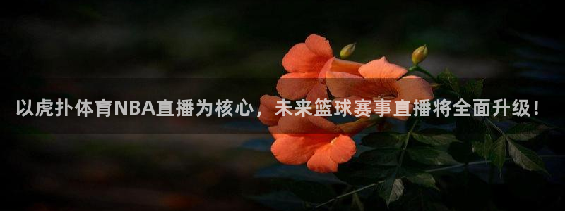 以虎扑体育NBA直播为核心，未来篮球赛事直播将全面升级！