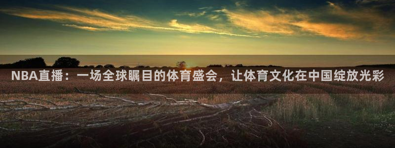 NBA直播：一场全球瞩目的体育盛会，让体育文化在中国绽放光彩