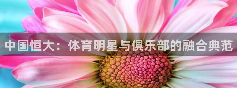 中国恒大：体育明星与俱乐部的融合典范