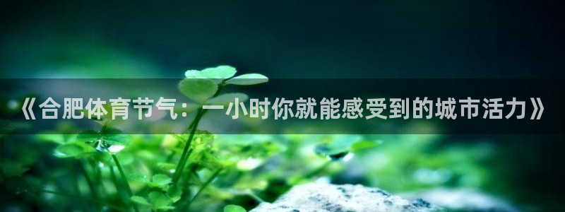 《合肥体育节气：一小时你就能感受到的城市活力》