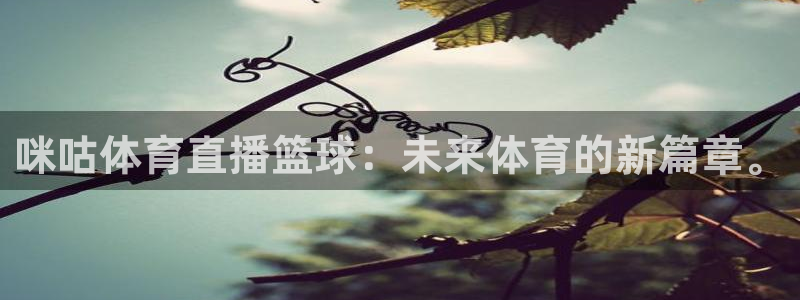 咪咕体育直播篮球：未来体育的新篇章。