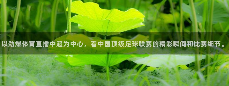 以劲爆体育直播中超为中心，看中国顶级足球联赛的精彩瞬间和比赛细节。